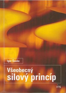 Všeobecný silový princíp